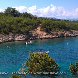 Isola di Veglia (Otok Krk) con Zeus - agosto 2011