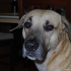Zeus - settembre 2012