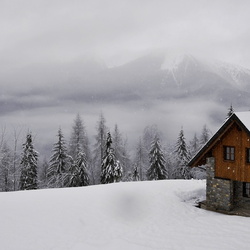 Monte Zoncolan - marzo 2014